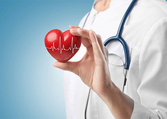 О вредных для здоровья сердца привычках рассказала врач-кардиолог из Лиозно