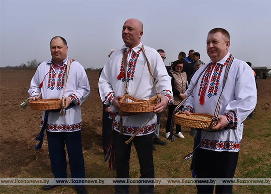 Народный обряд «Засевки» с участием руководства района прошёл в урочище Лысухи в Лиозненском районе