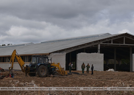 В деревне Черноручье Лиозненского района до конца года появится современный молочно-товарный комплекс