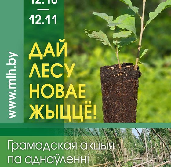 Лиозненский лесхоз приглашает всех желающих присоединиться к республиканской акции “Дай лесу новае жыццё”
