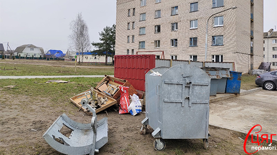 Жителям Лиозно напомнили, что вывозить мусор нужно по правилам