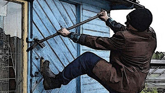 Дачную кражу раскрыли в Лиозненском районе